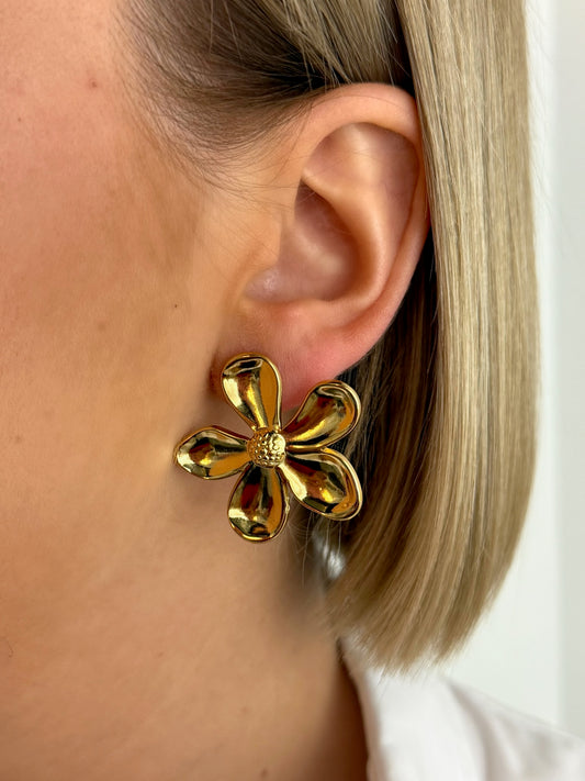 Paire de boucles d’oreilles Valentine en acier inoxydable