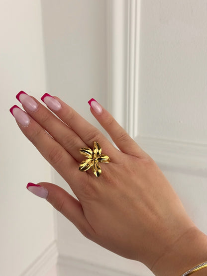 Bague Coula en acier inoxydable